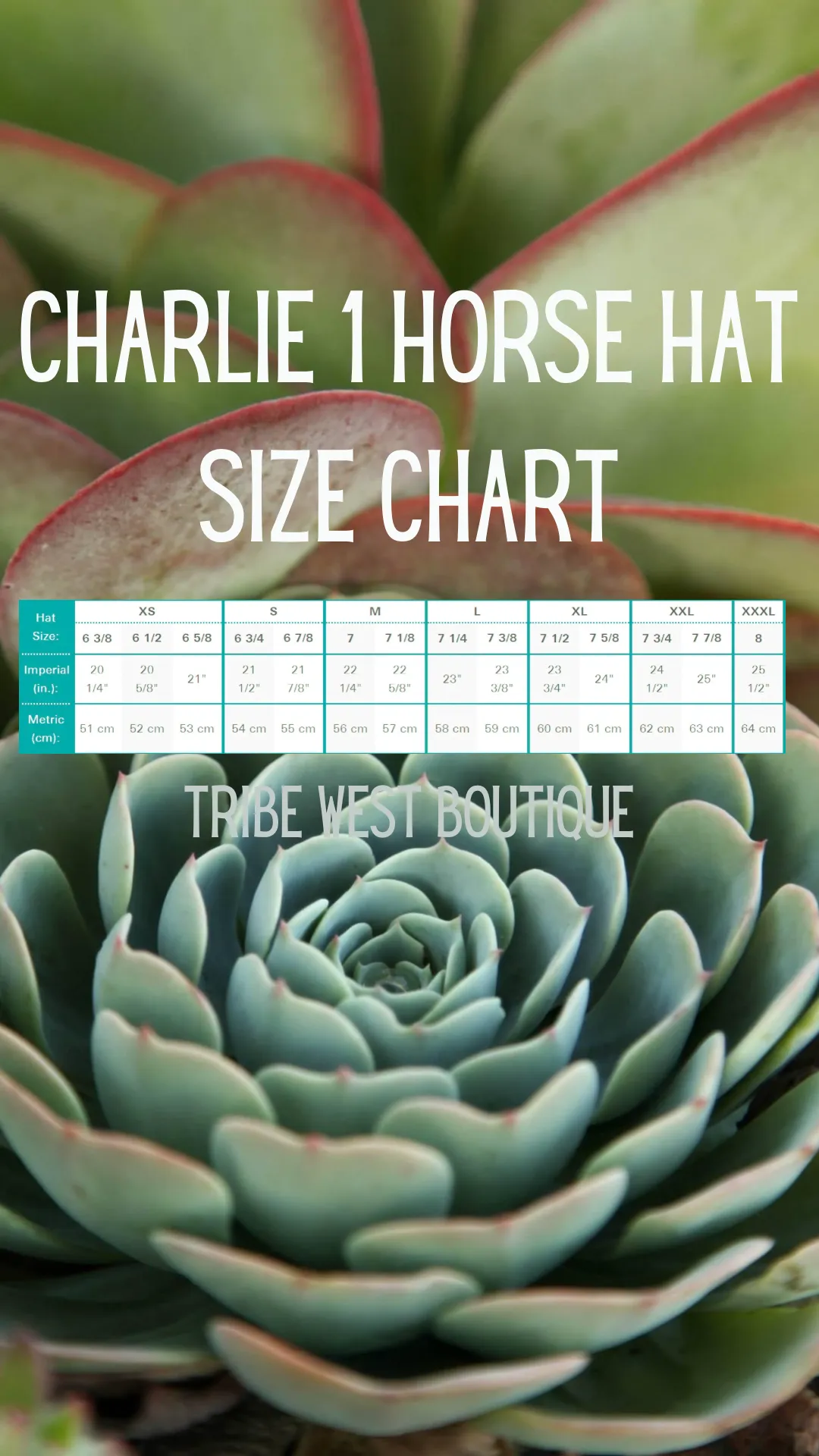 The Charlie 1 Horse Hat - Highway - Silver Belly